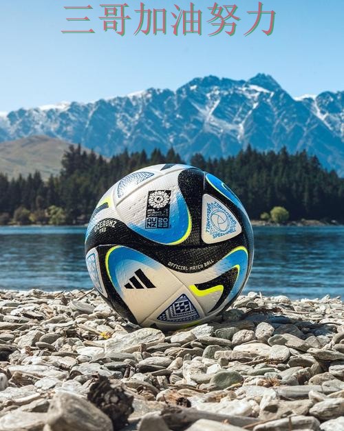 FIFA World Cup 2026期间热门世界杯投注平台整理与直播入口分析